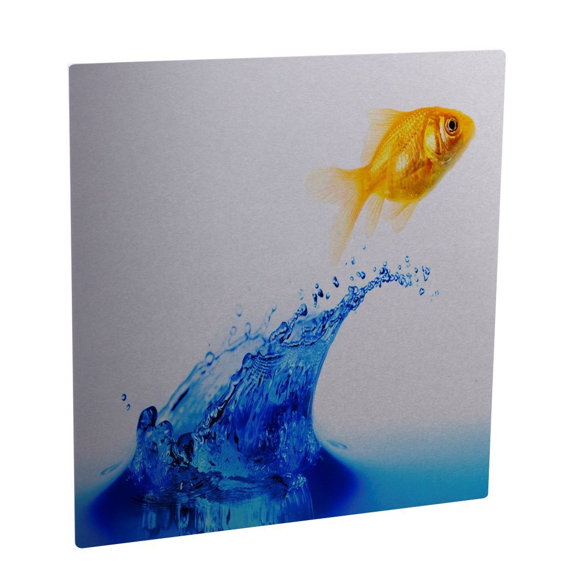 Aluminum Photo Panel Glass Clear 8x10