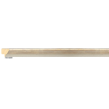 730-6009 Classico Silver