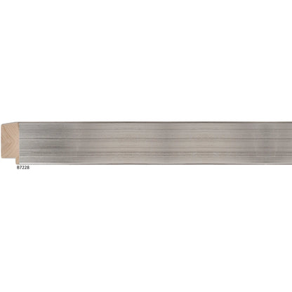 B7228 Platinum Silver