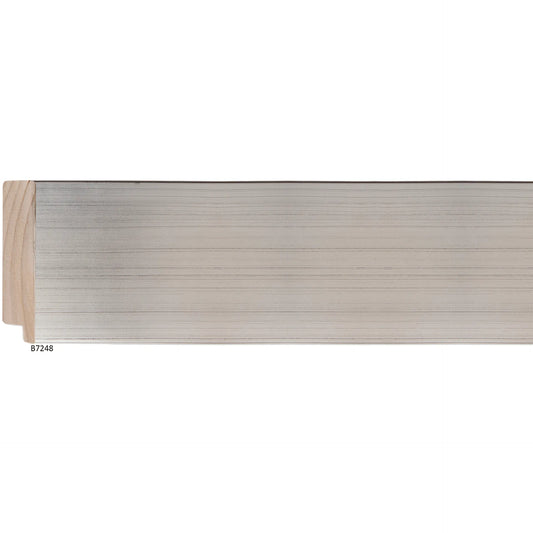 B7248 Platinum Silver