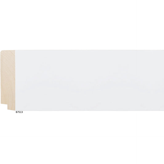 B7513 Reflections White