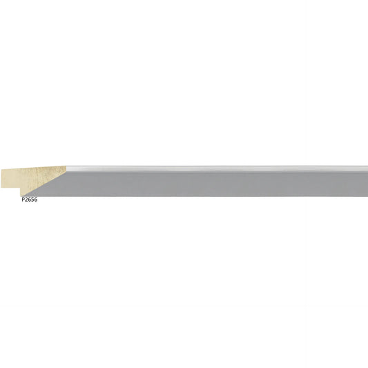 P2656 Edge Silver